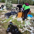 Cumuli di rifiuti abbandonati lungo la linea ferroviaria fra Terlizzi e Ruvo