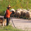  "Il Rubastino " torna in edicola, «ritorno di fiducia e speranza»