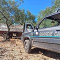 Furti nelle campagne, ritrovato un camion carico di uva da vino