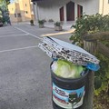 Rifiuti sul sagrato di Santa Lucia, l’appello della parrocchia alla responsabilità civile