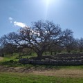 Volontari per il Bosco Scoparella con  "Funziona solo se stiamo insieme "