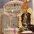 Don Pietro Rubini racconta il ritorno della tela della Madonna delle Grazie nella Concattedrale