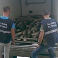 Tonni freschi sequestrati a un peschereccio donati alle famiglie povere di Ruvo di Puglia