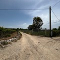 Strade di campagna Ruvo di Puglia: interventi per 1 milione di euro