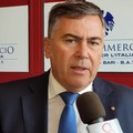 Il ruvese Vito D'Ingeo vice presidente Confcommercio Bari - Bat