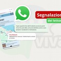 Viva Network lancia il numero WhatsApp per le segnalazioni dei lettori