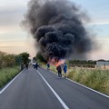 Incendio a Calendano, a fuoco tubi per l'irrigazione