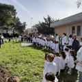 Lions Club pianta 14 alberi nel giardino della scuola Bovio