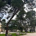 Allerta meteo a Ruvo: limitazioni e prescrizioni nelle aree pubbliche alberate