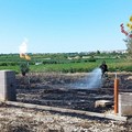 Incendio di sterpaglie vicino a un casale a Ruvo di Puglia