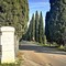 Manutenzione straordinaria dei cipressi del viale monumentale del civico Cimitero