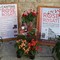 “Rose e Rosati 2026” a Ruvo di Puglia: due giorni tra eccellenze, cultura e spettacolo