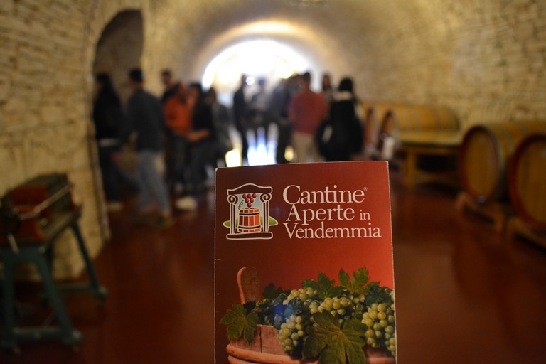 Cantine Aperte in Vendemmia