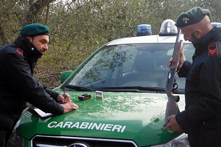 Il sequestro dei Carabinieri Forestali