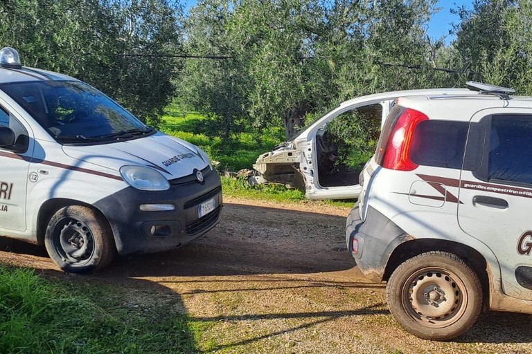Carcassa di autovettura Ruvo