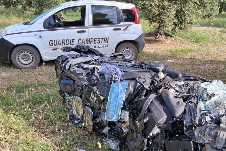 Carcasse automobli campagne ruvesi. <span>Foto Pagina Facebook Guardie Campestri Ruvo di Puglia</span>