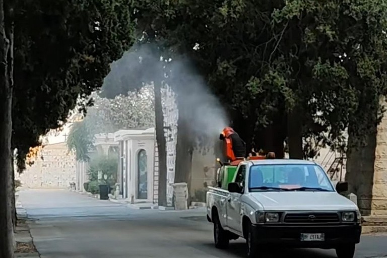Disinfestaione al cimitero monumentale