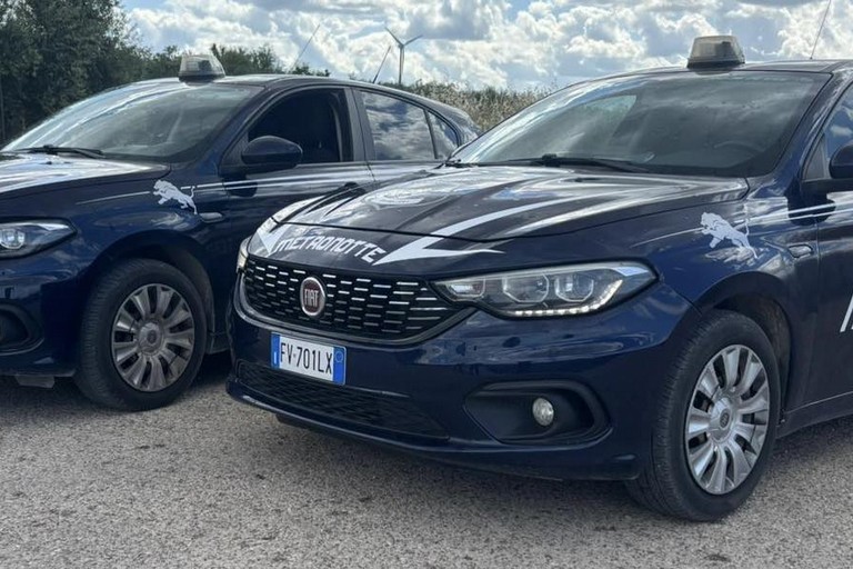 Due furti sventati, un'auto recuperata: alta l'attenzione della Metronotte