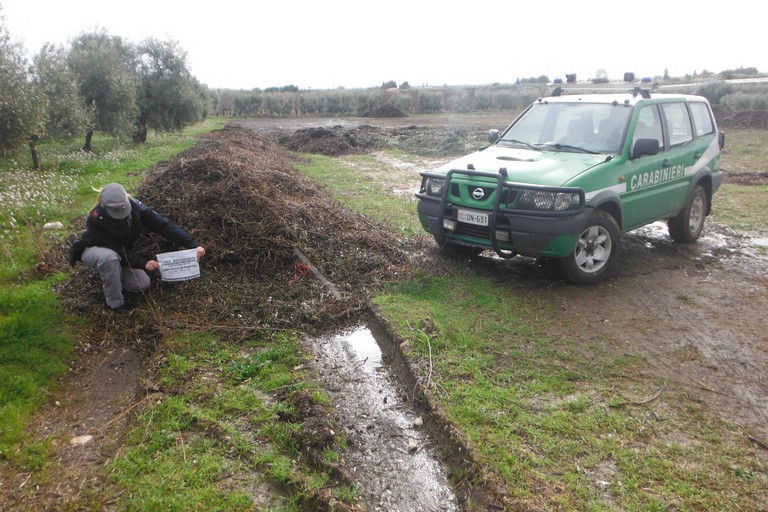 Carabinieri Forestali