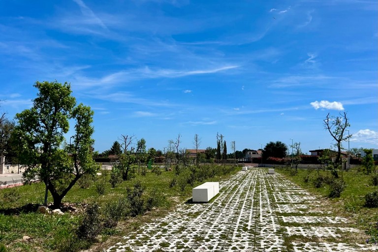 Forestazione urbana