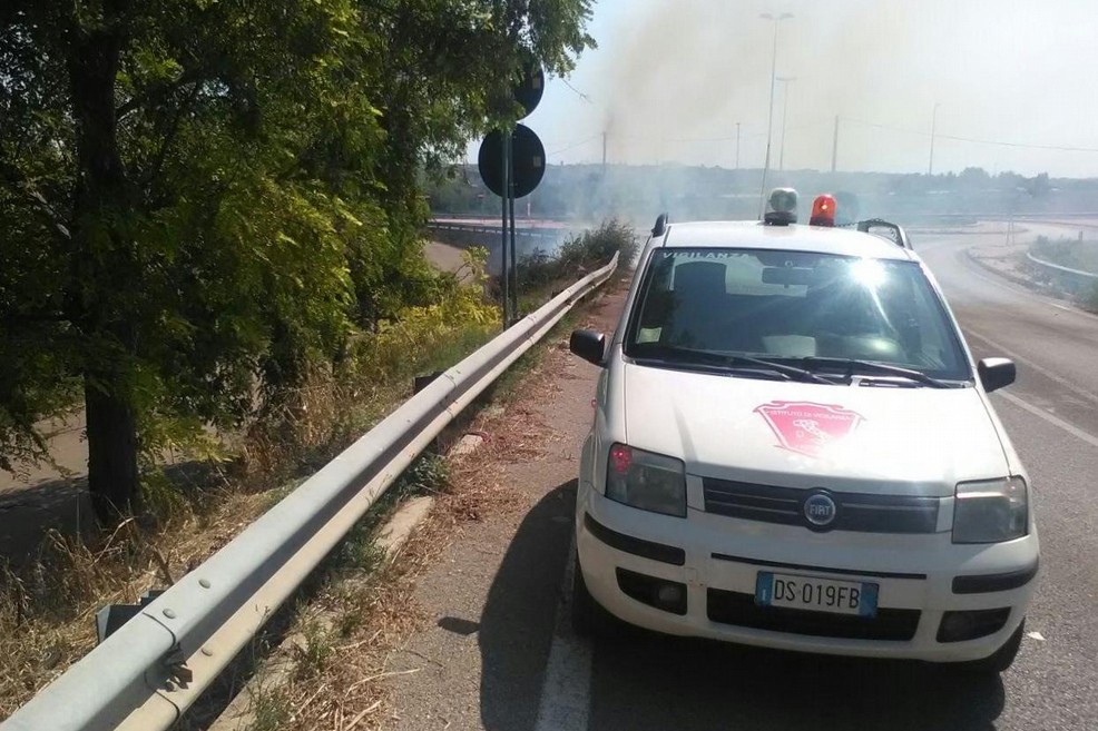L'incendio domato dalla Vigilanza Apulia