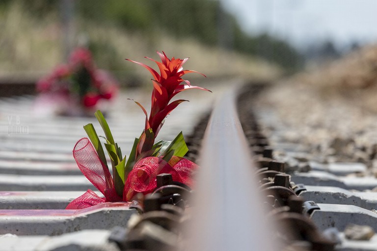 Il fotoracconto a due anni del disastro ferroviario tra Andria e Corato. <span>Foto Vincenzo Bisceglie</span>