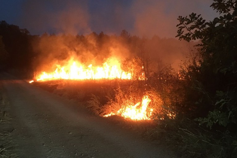 Incendio parco dell'alta murgia