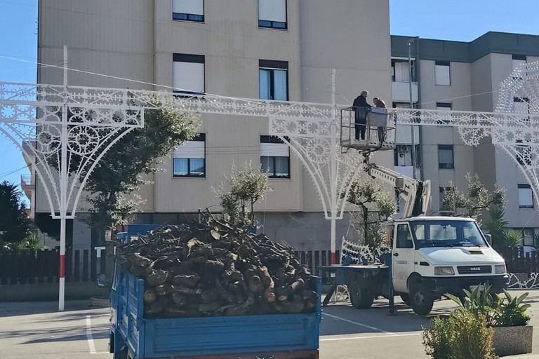 Legna per Santa Lucia