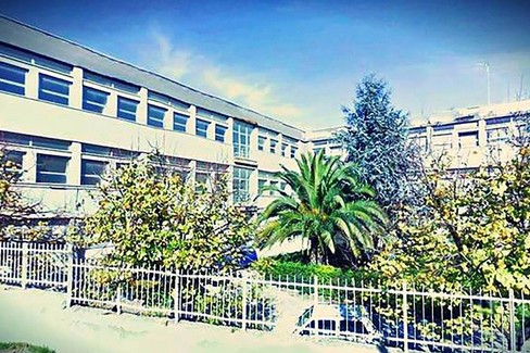Liceo Linguistico G.D'Arezzo. <span>Foto Giuseppe Tedone</span>