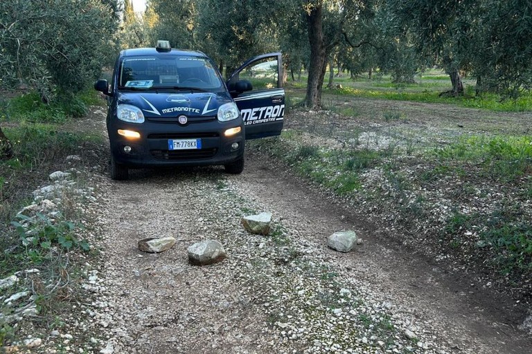 Metronotte, sventato furto di olive in contrada canale San Francesco