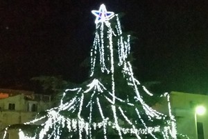 albero natale