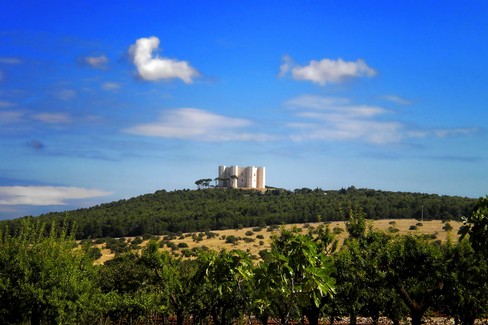 Castello del monte - Murgia