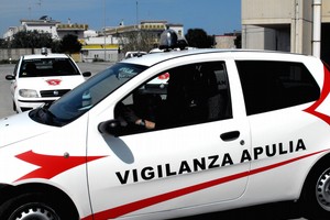 Vigilanza Apulia