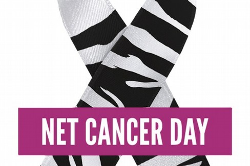 Net Cancer Day