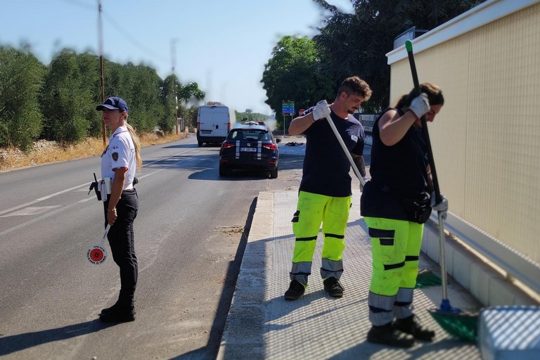 Operazioni di diserbo e pulizia