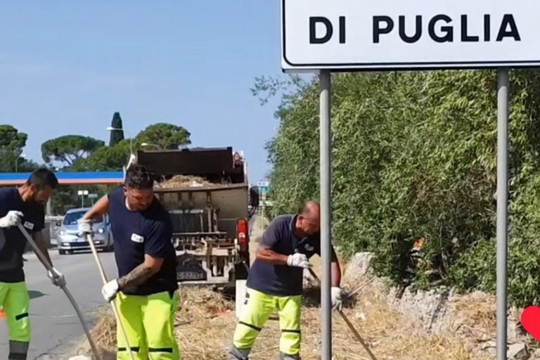 Pulizia straordinaria via Terlizzi