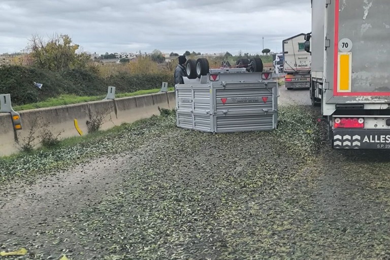 Mezzo si ribalta sulla SP 231: olive sparse sulla carreggiata