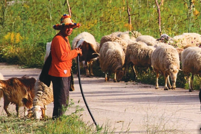 Copertina Il Rubastino