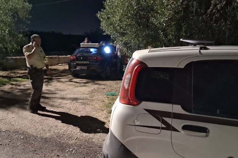 L'intervento delle Guardie Campestri