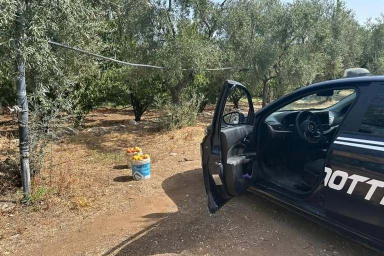 L'intervento della Metronotte