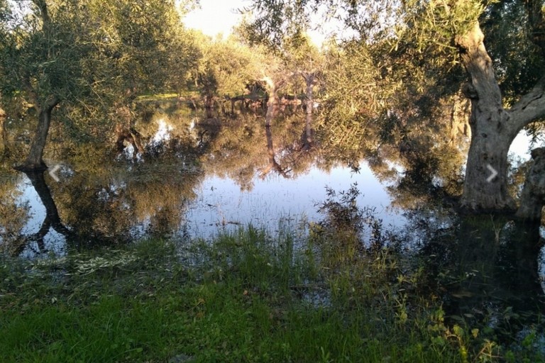 Acque reflue nell'agro di Molfetta