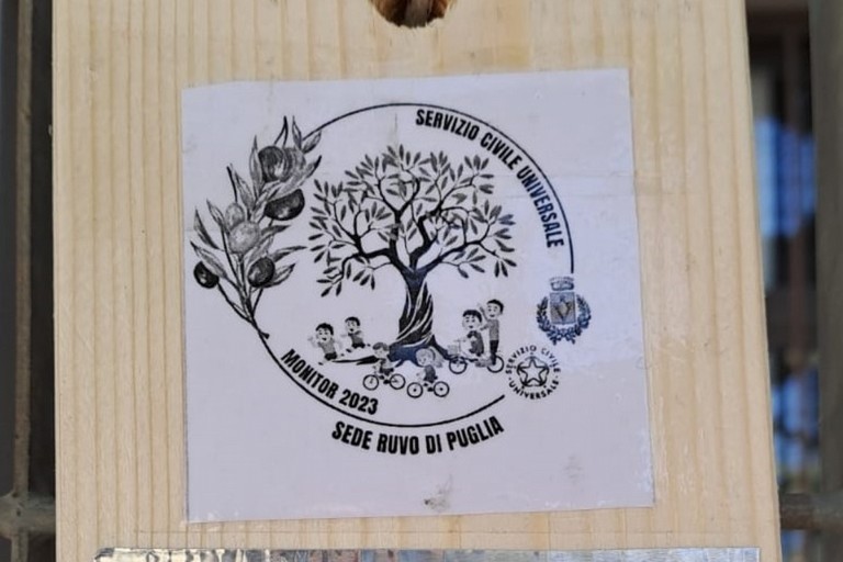 Servizio Civile Universale Ruvo di Puglia