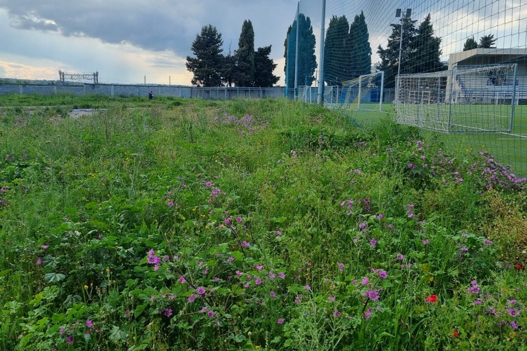 stadio comunale