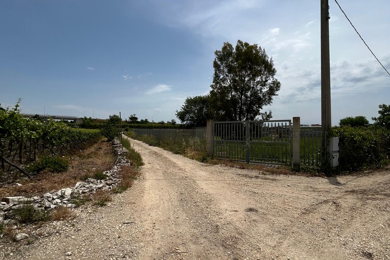Via Pantano