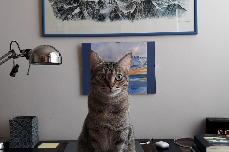 ENPA Ruvo e Liceo di Aosta