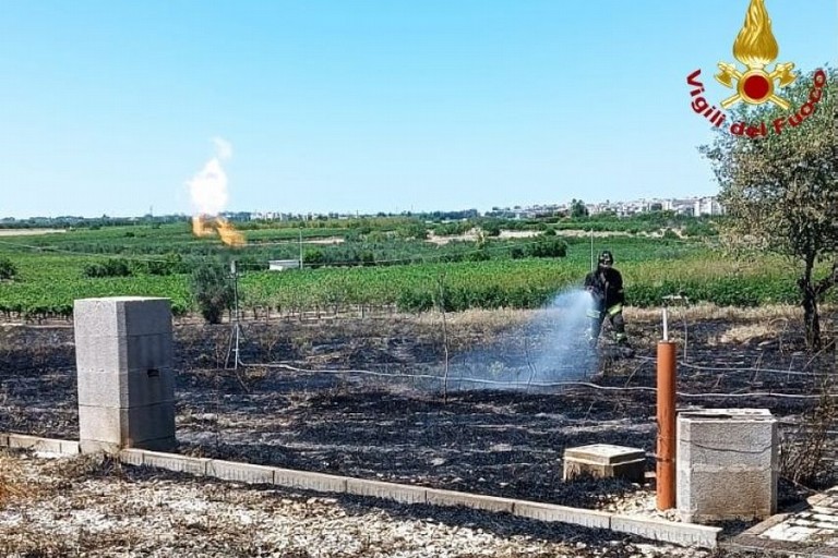 Incendio di sterpaglie vicino a un casale a Ruvo di Puglia